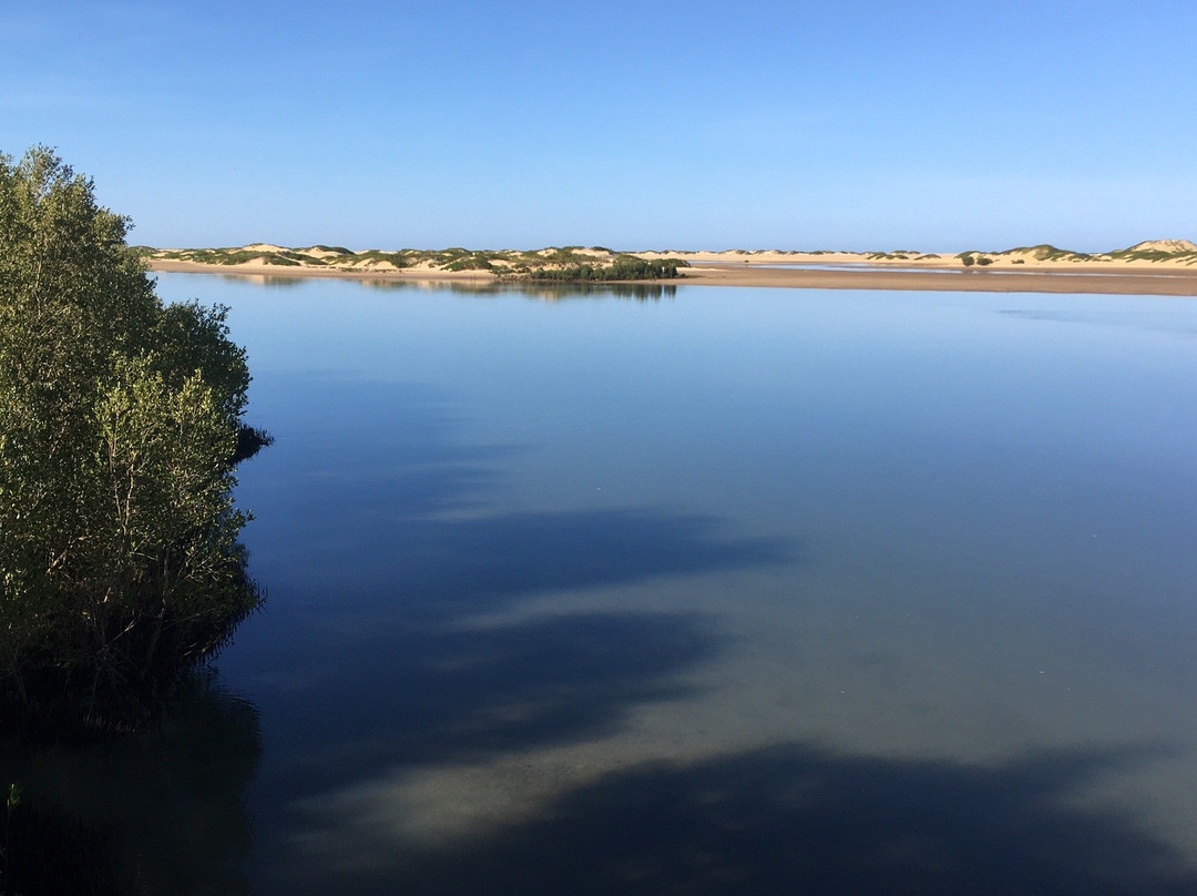 Honko Community-Based Mangrove Reserve景点图片
