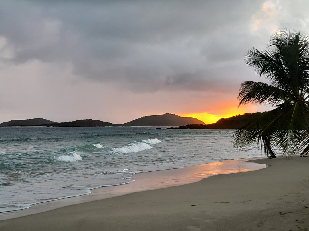 Playa Zoni-库莱布拉岛必去景点