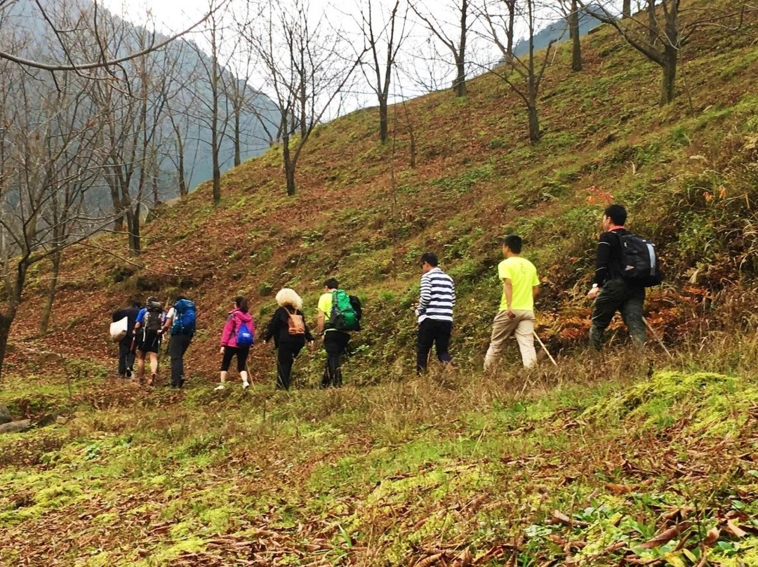 清凉峰自然保护区-泾县必去景点