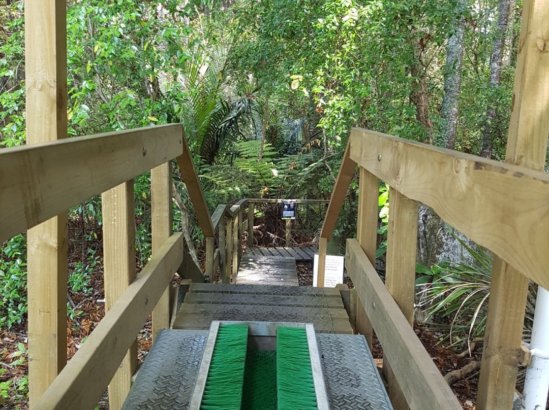 Parry Kauri Park-瓦卡沃夫必去景点