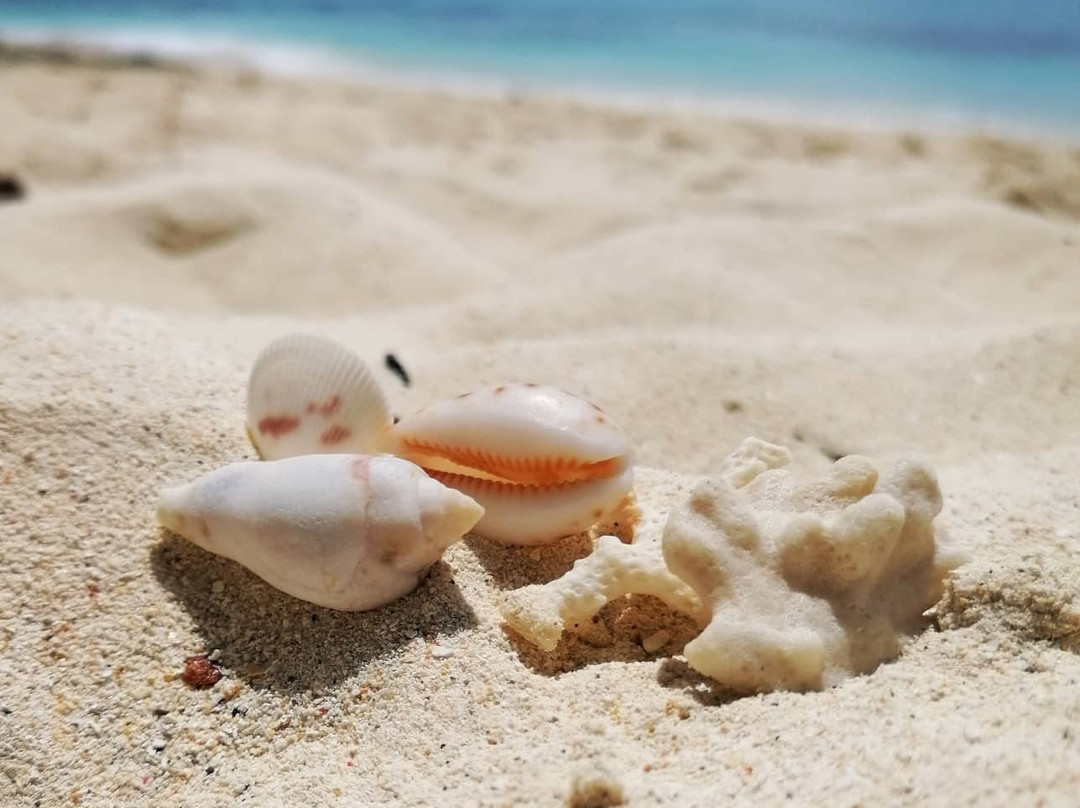 Acqua Blu Rasdhoo主图