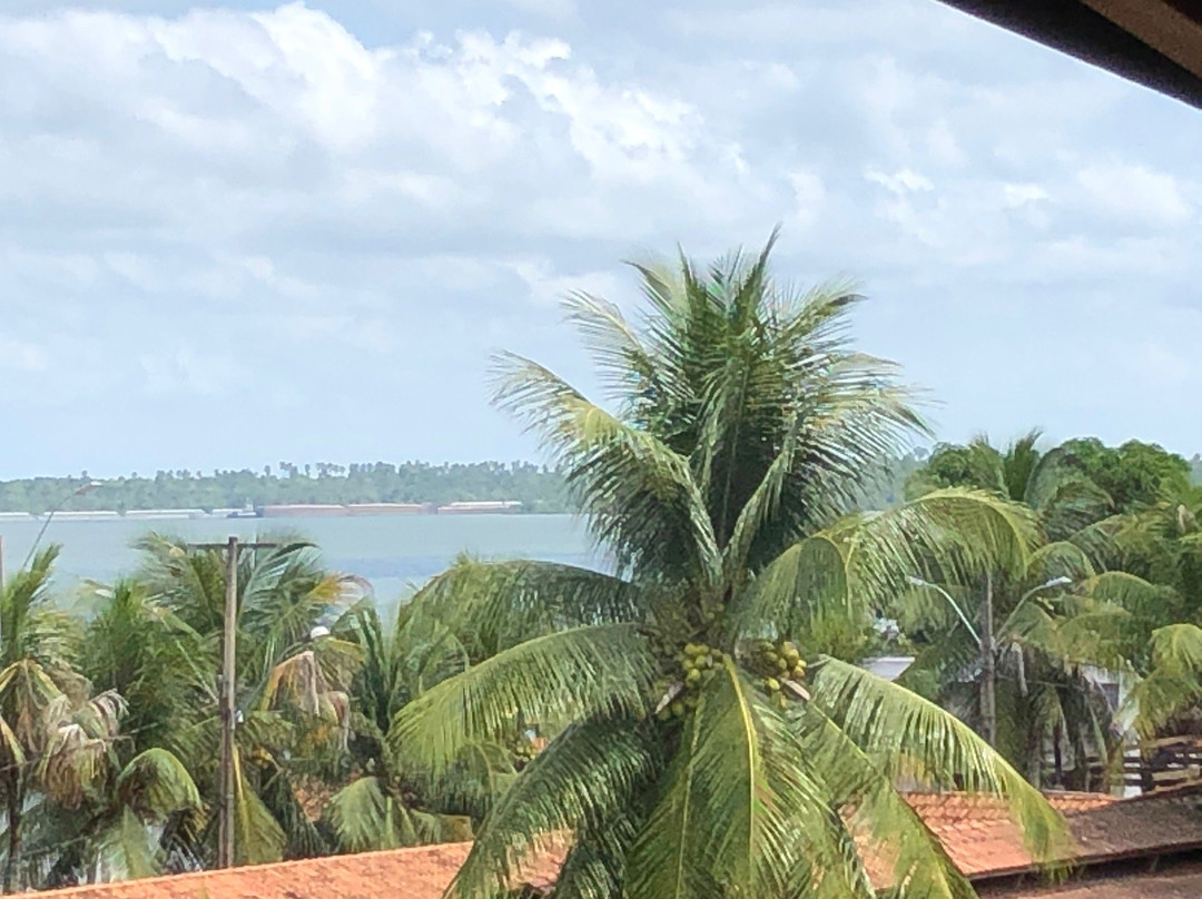 Samauma Park Hotel主图