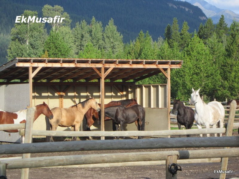 Willow Ranch-维尔蒙特必去景点