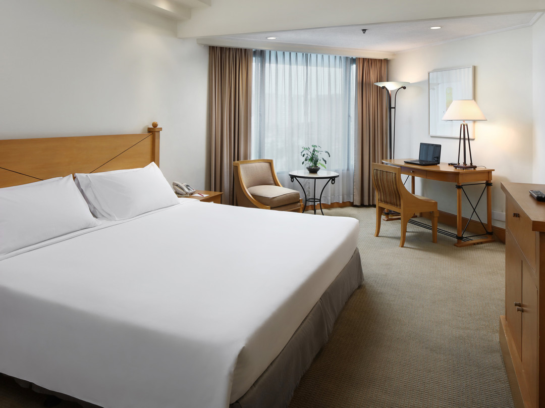 喜来得大酒店主图