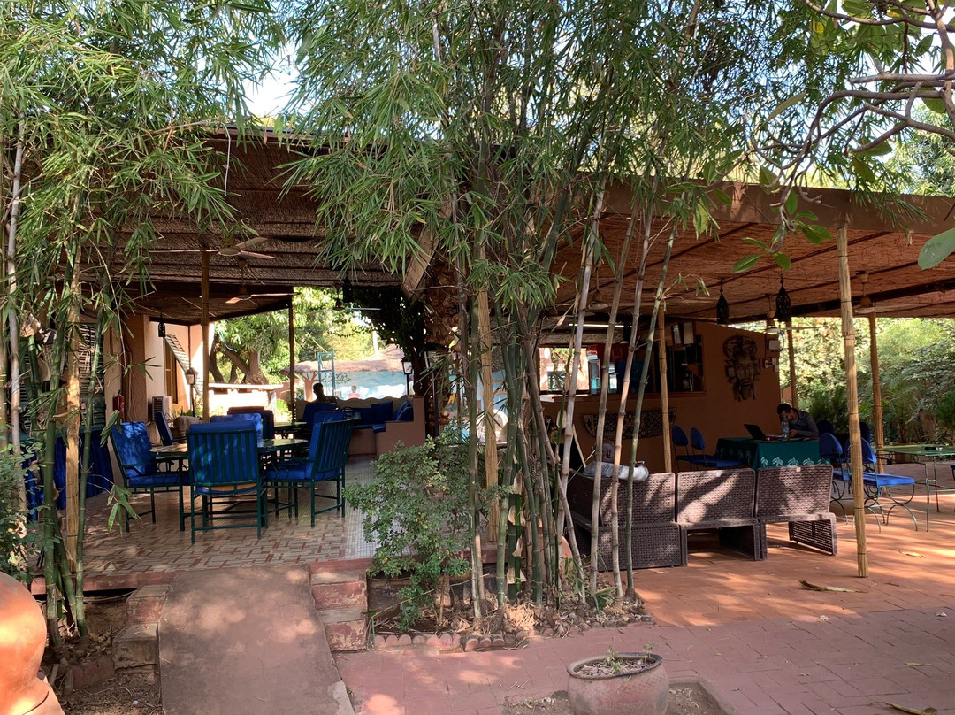 Hotel les Palmiers主图