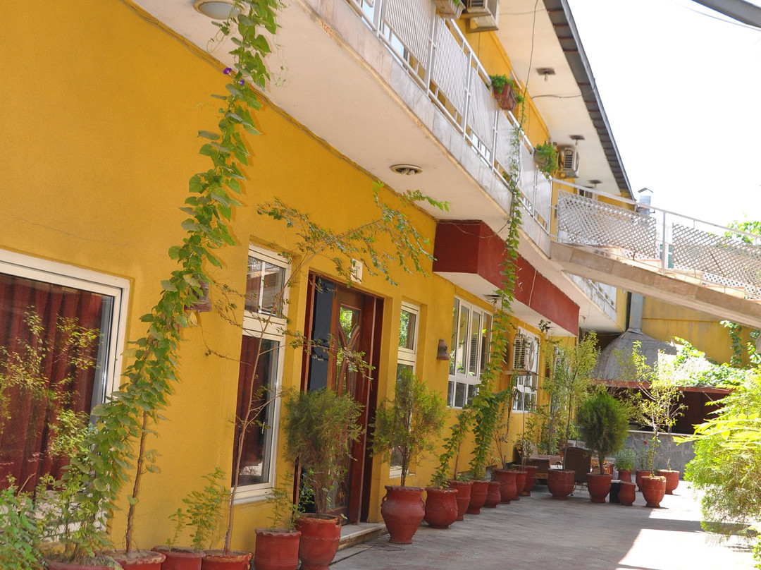 Marco Polo Inn主图