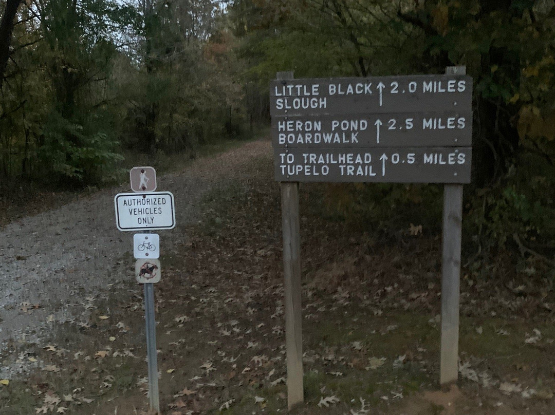 Cache River State Natural Area-Belknap必去景点