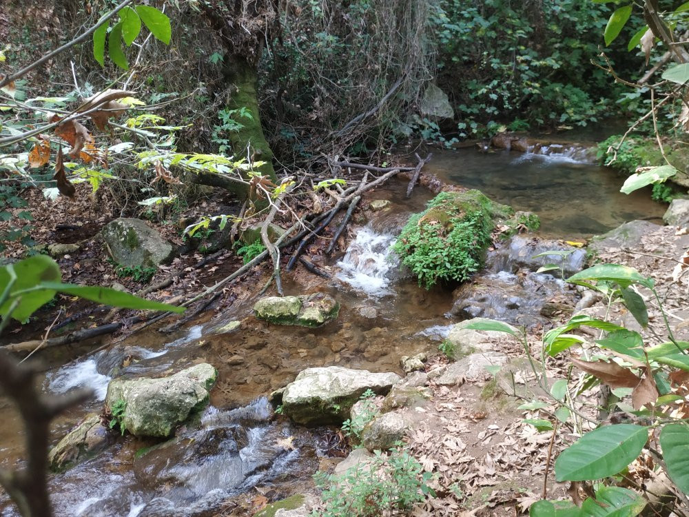 Nahal Amud-Hukok必去景点