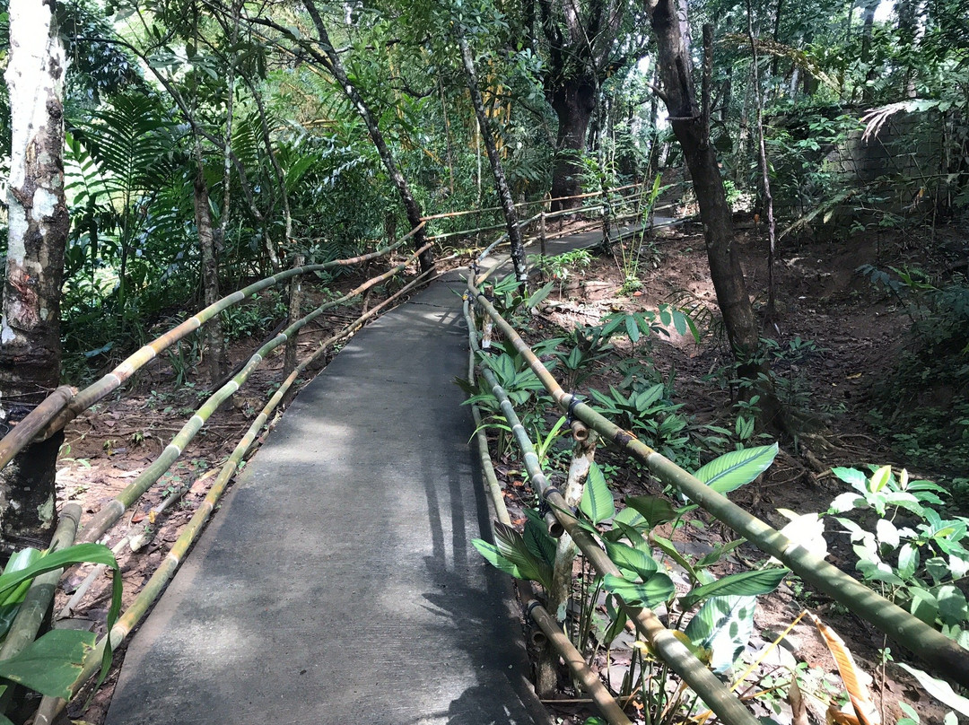Batlag Falls-Tanay必去景点