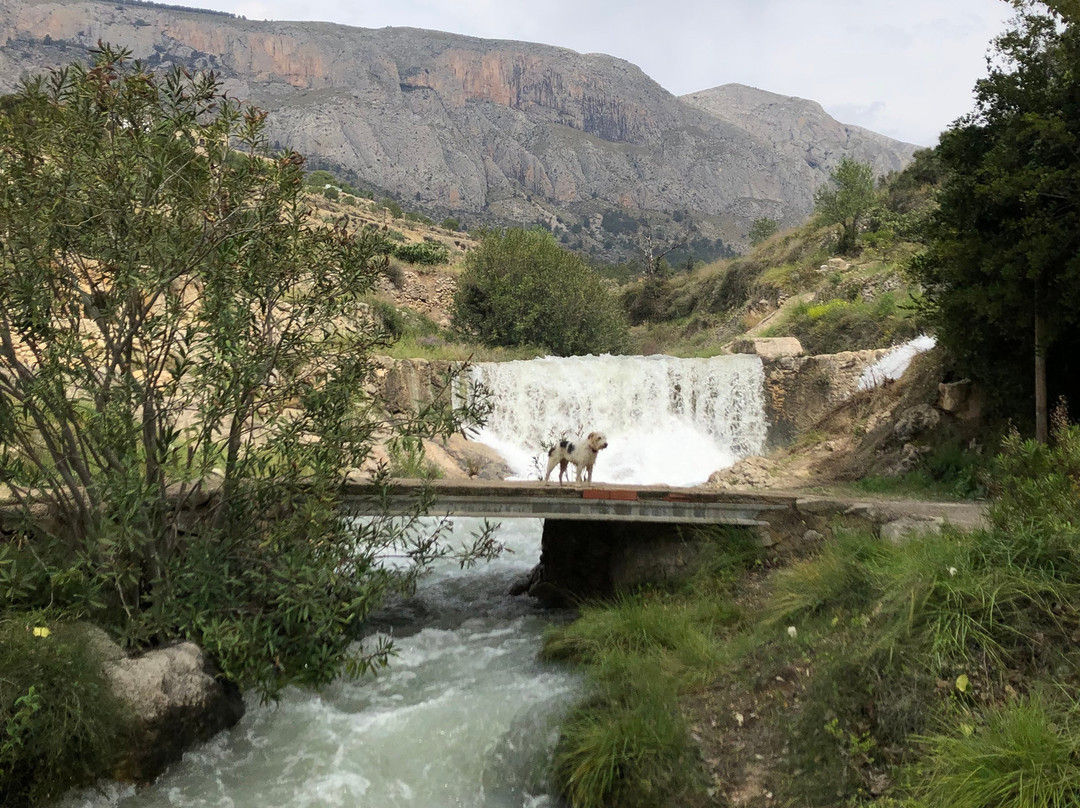 Apartamentos Turisticos Isa i Toni主图