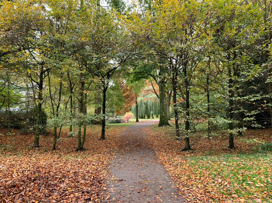 Sollbrüggenpark景点图片