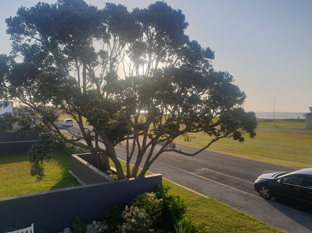 Carters by the Sea Beachside Apartments主图