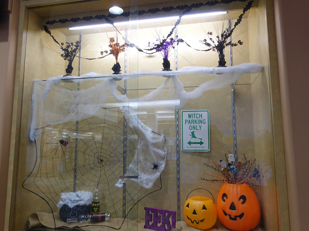 Mohave County Library-哈瓦苏湖城必去景点