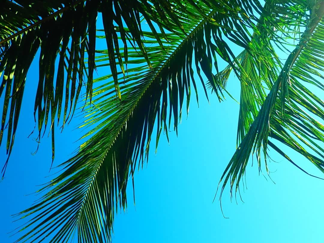 Afiki Beach House主图