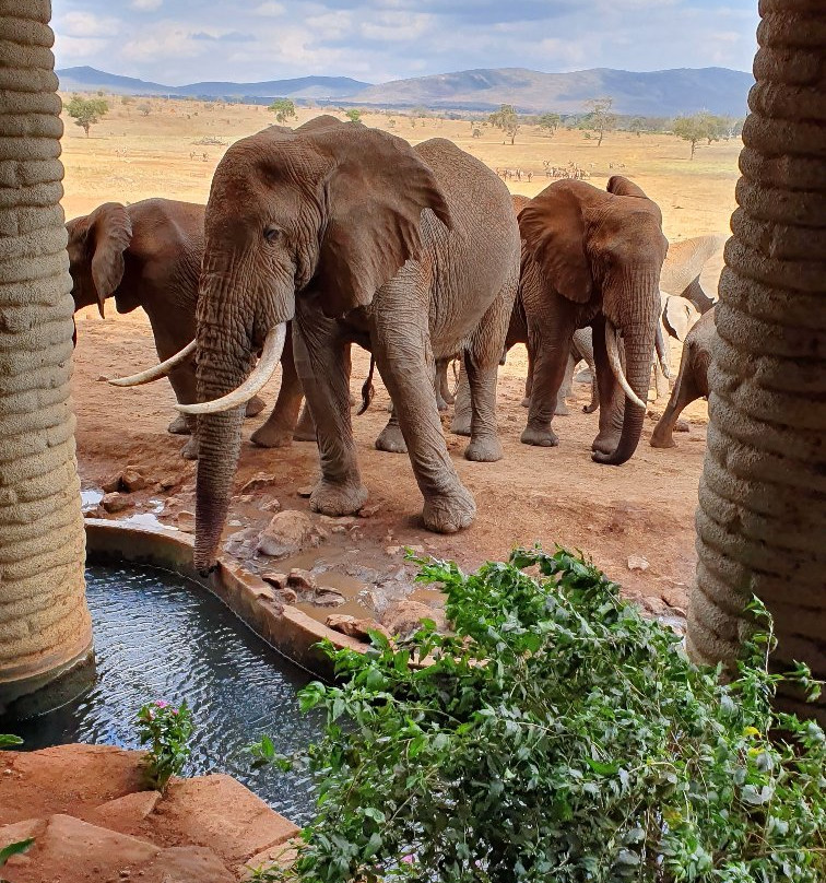 THOMAS SAFARI KENYA-瓦塔木必去景点