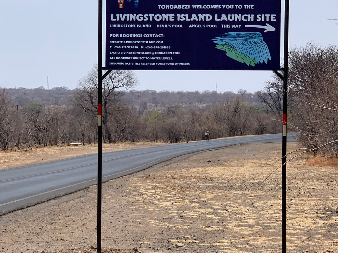 Livingstone Island Tour景点图片