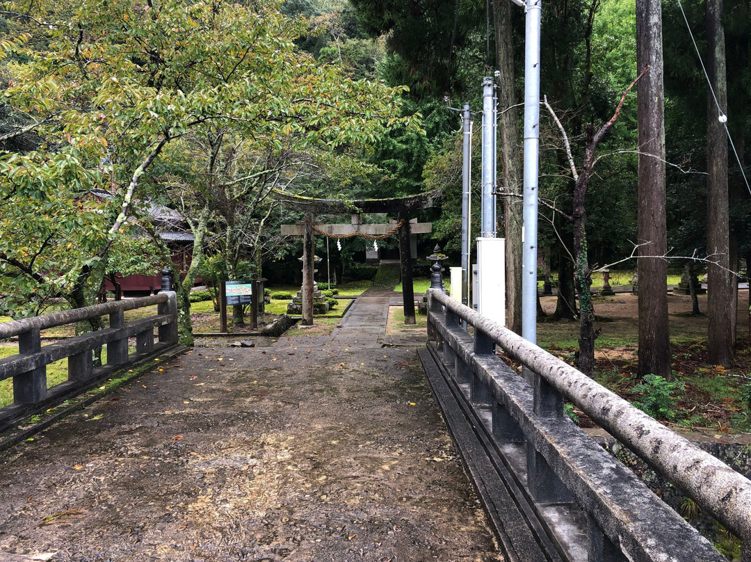 Morosugi Shrine-丰冈市必去景点