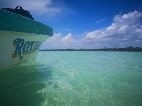 iTour-图伦必去景点