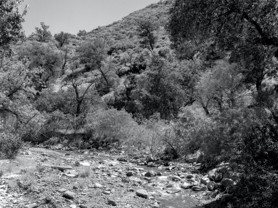 Arden Helena Modjeska Historic House and Gardens-莱克福里斯特必去景点