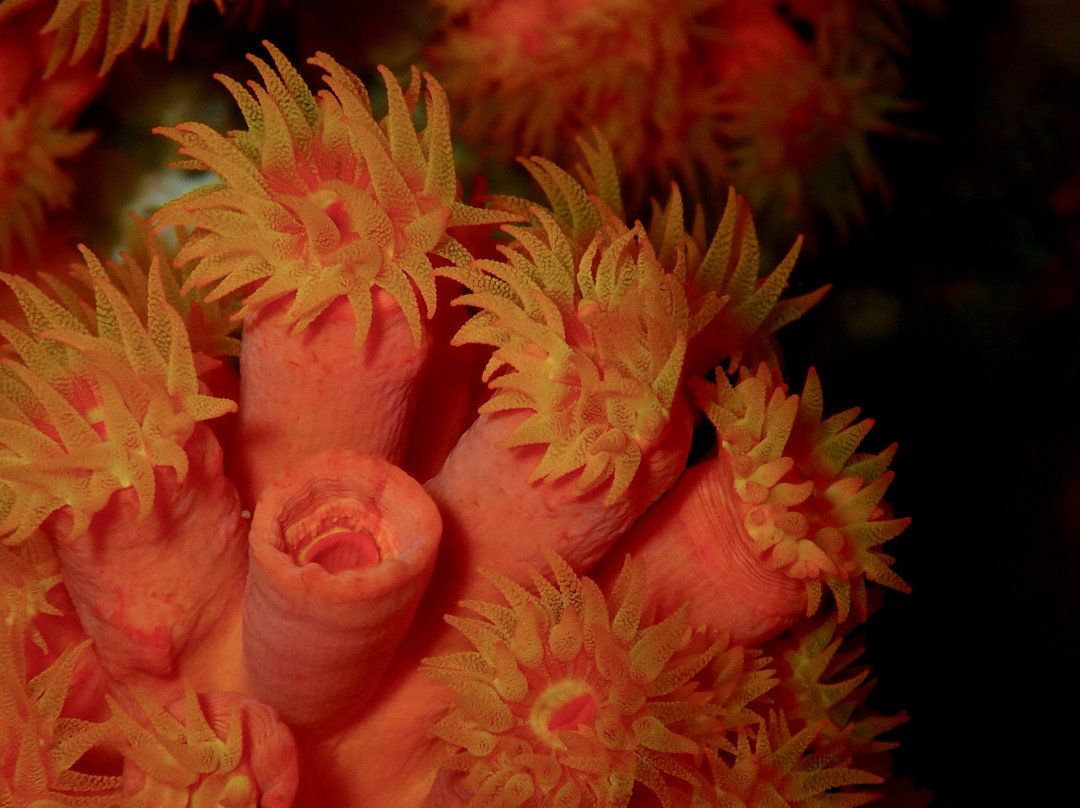 Reto Muller-位于塔甘加必去景点