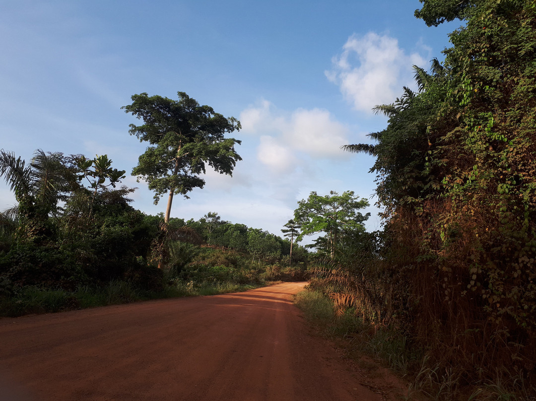 Grand-Bereby旅游攻略图片