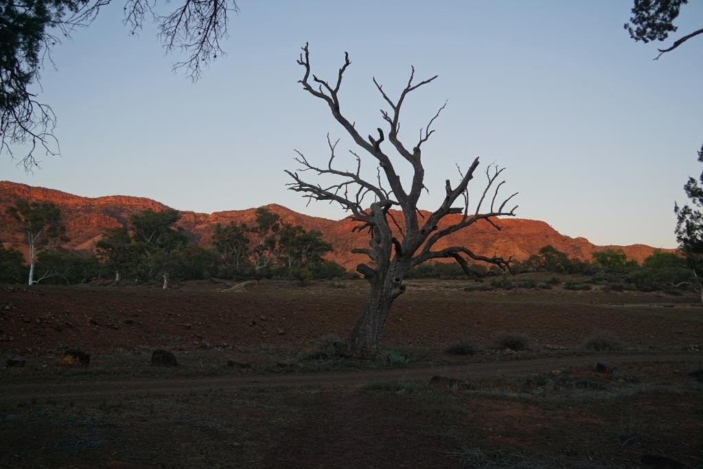 Flinders Ranges National Park景点图片