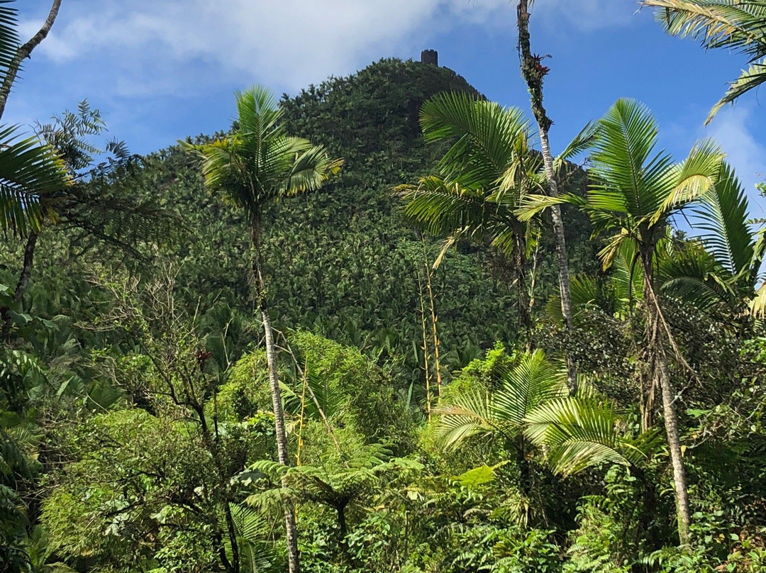 Mount Britton Trail-云盖国家森林公园必去景点