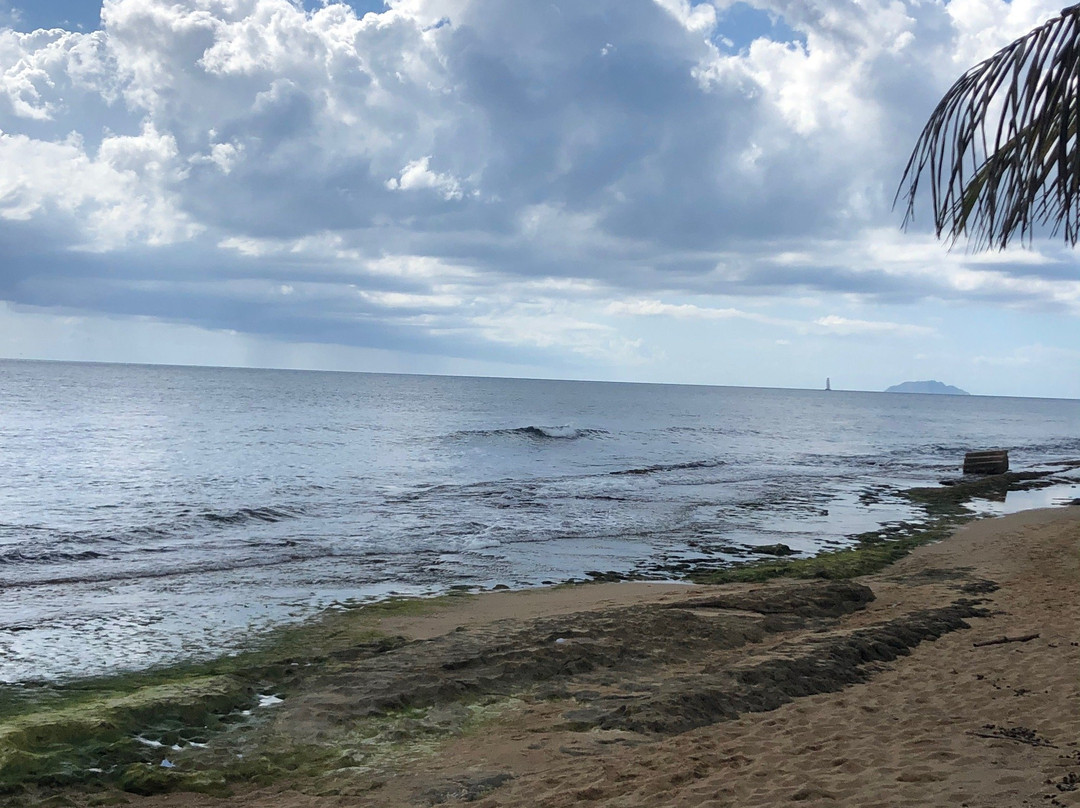 Tres Palmas Marine Reserve-吕康必去景点