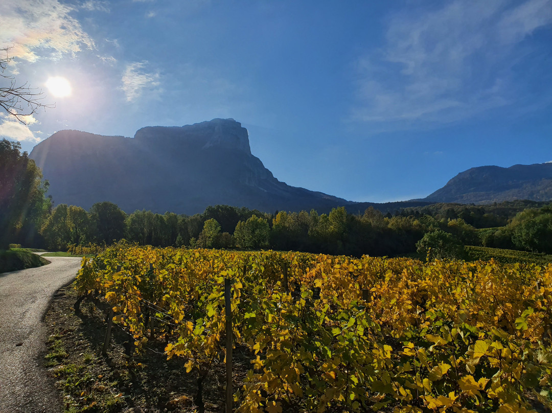 Events et Loisirs-尚贝里必去景点