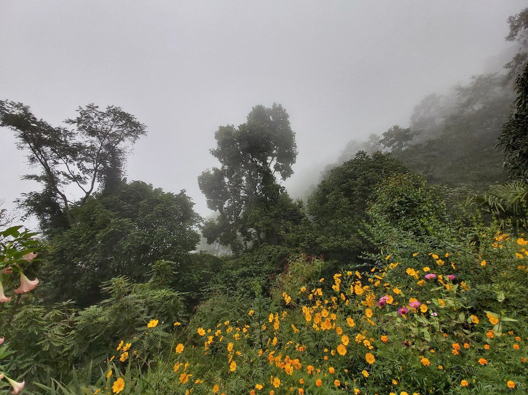 Namchi Ropeway-Namchi必去景点