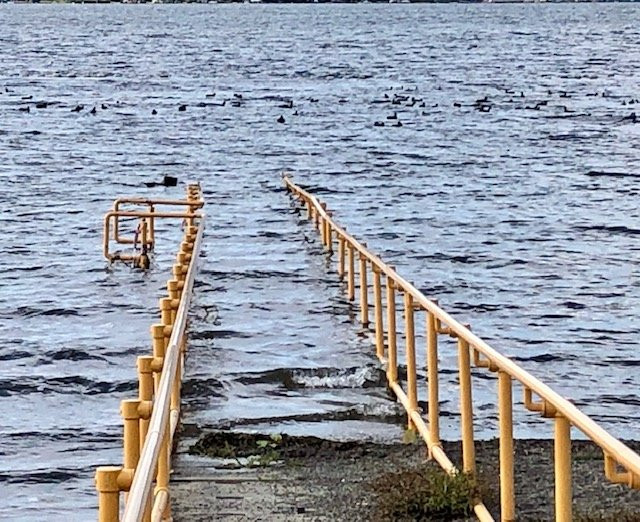 Lake Sammamish State Park-伊瑟阔必去景点