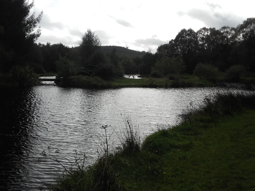 Annamoe Trout Fishery-Annamoe必去景点