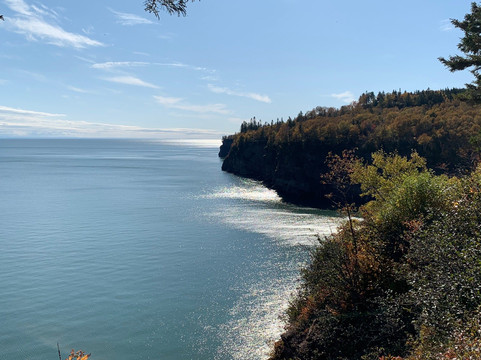 Go Fundy Tours-圣约翰必去景点