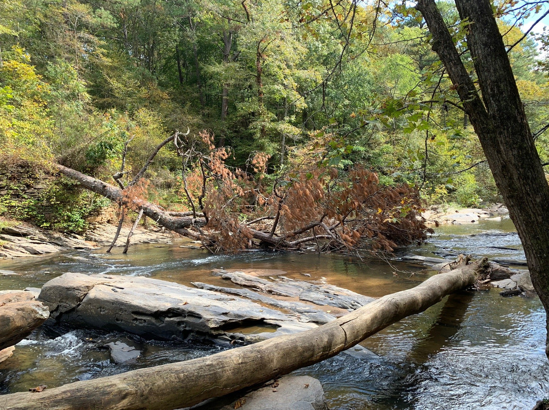 Sope Creek Trail-玛丽埃塔必去景点