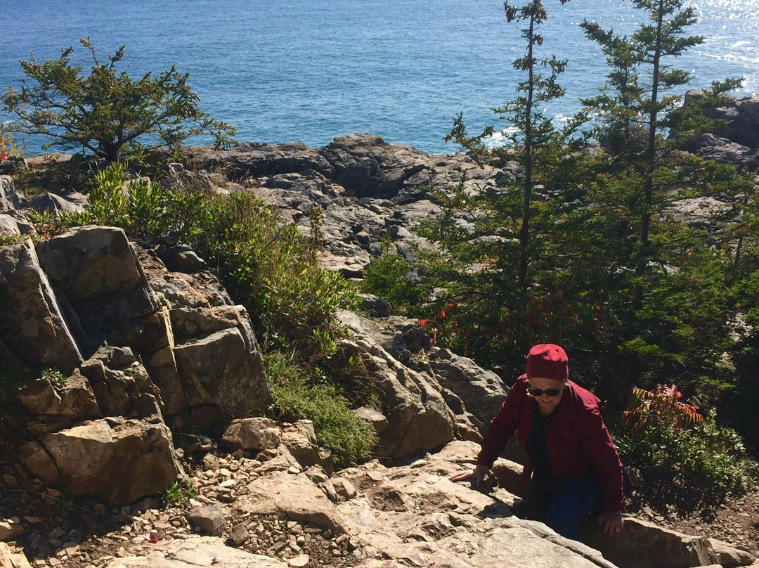 Great Head Trail-阿卡迪亚国家公园必去景点