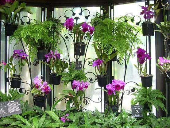 Al Kharj旅游景点-Al Rawda Park