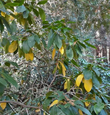 Lipno旅游攻略图片