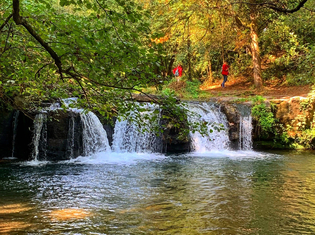 Cascate di Monte Gelato景点图片