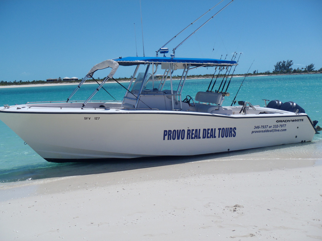 Provo Real Deal Day Tours-Turtle Cove必去景点