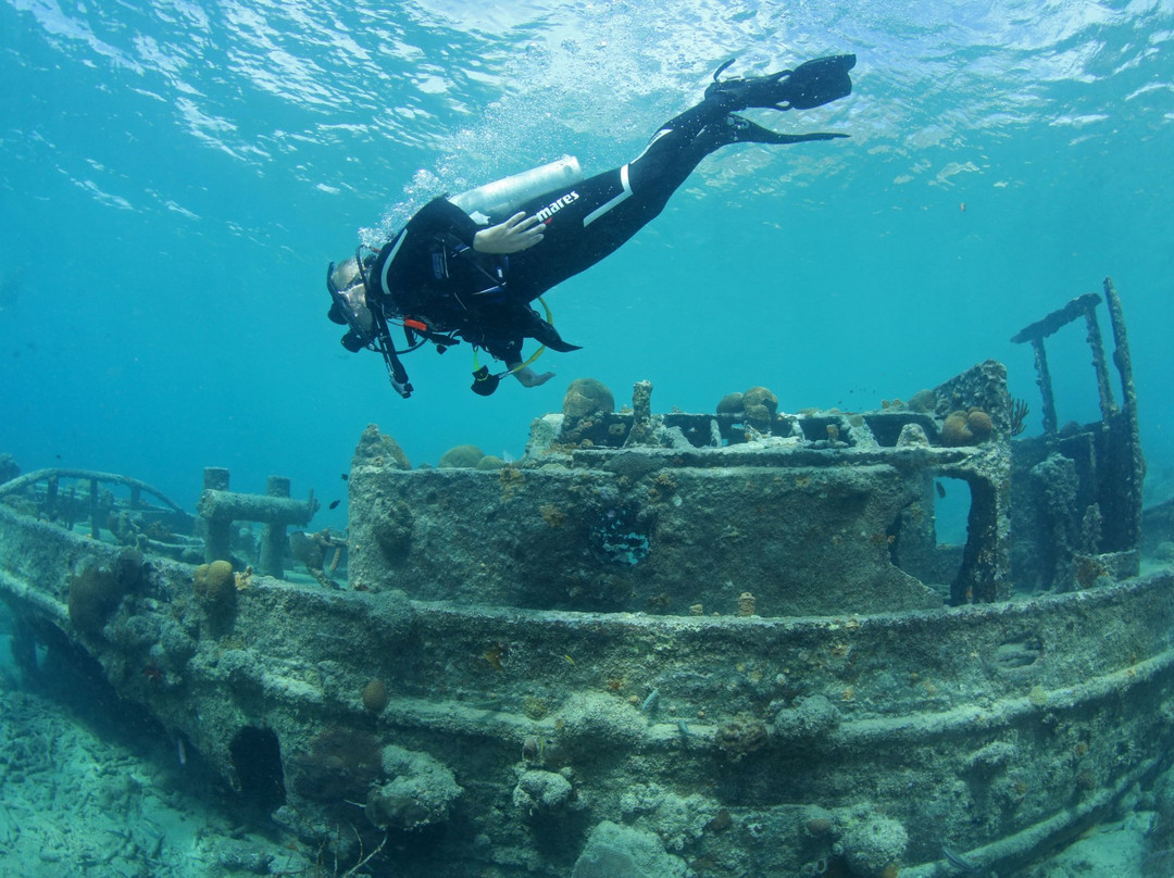 Ocean Dive-威廉斯塔德必去景点