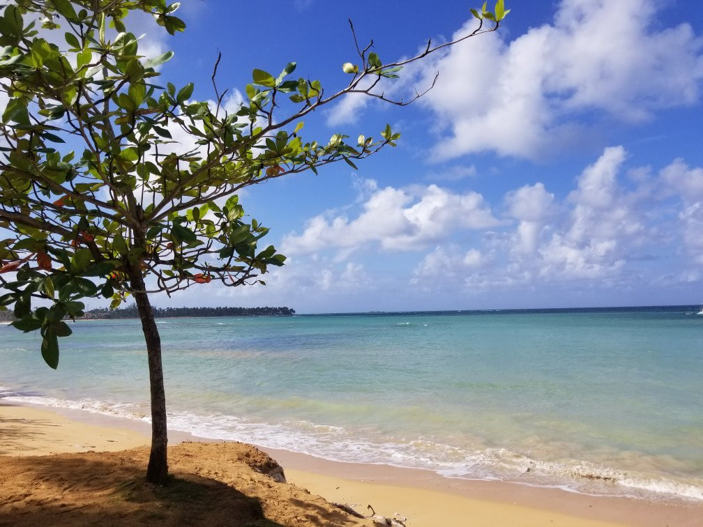 Playa El Portillo景点图片