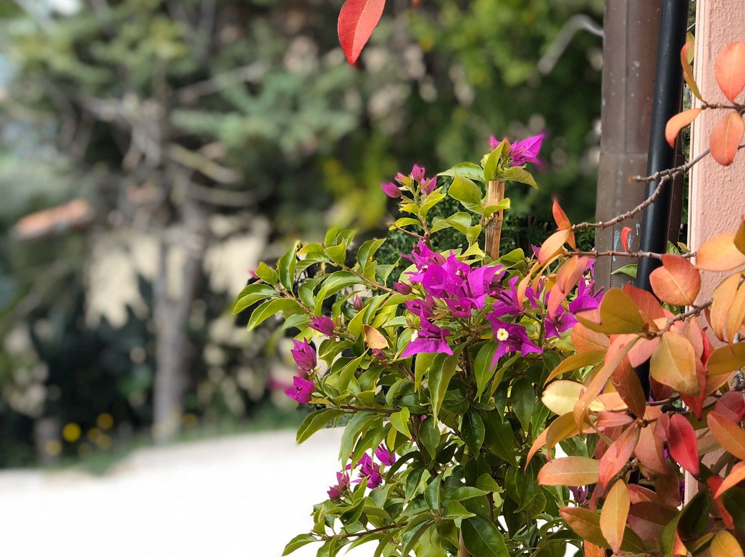 Il Melograno Country House主图