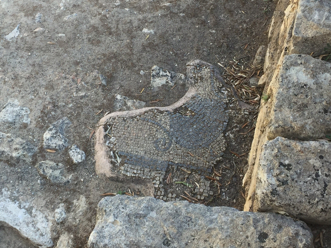 Museum of Ancient Eleutherna-Eletherna必去景点