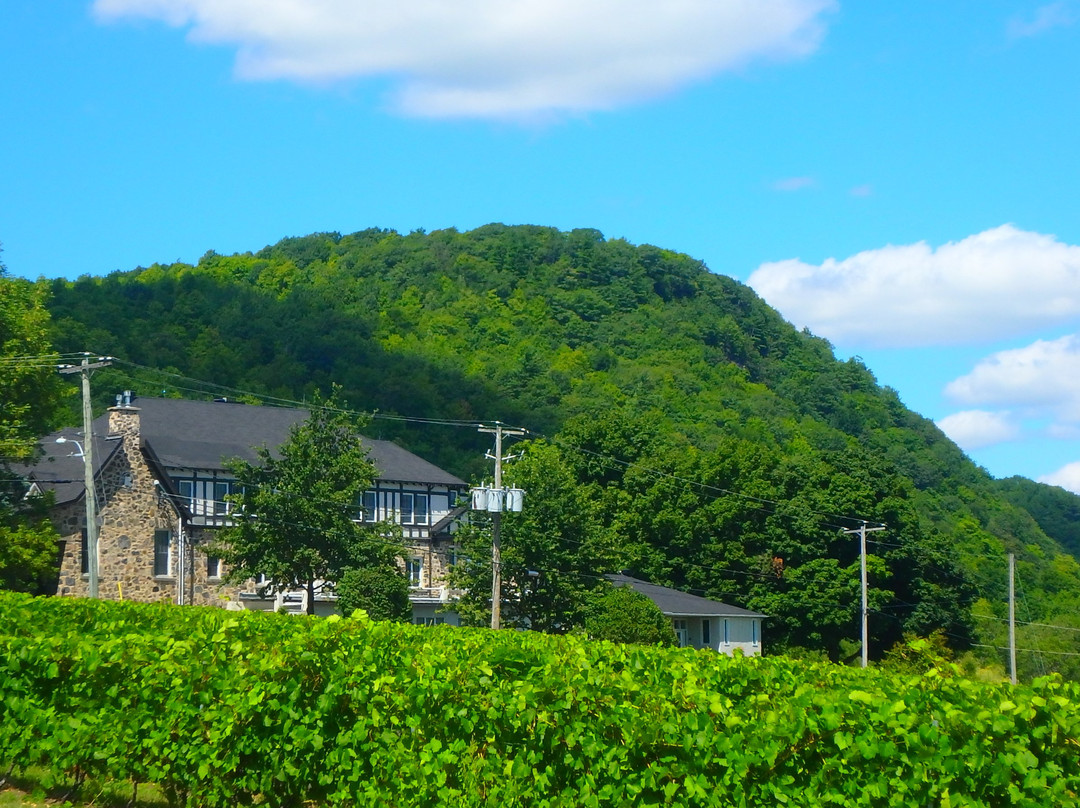 Vignoble et Cidrerie Coteau Rougemont景点图片