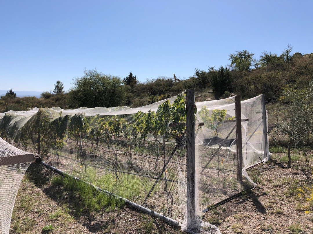 Mescal Canyon Retreat at Candlewood主图