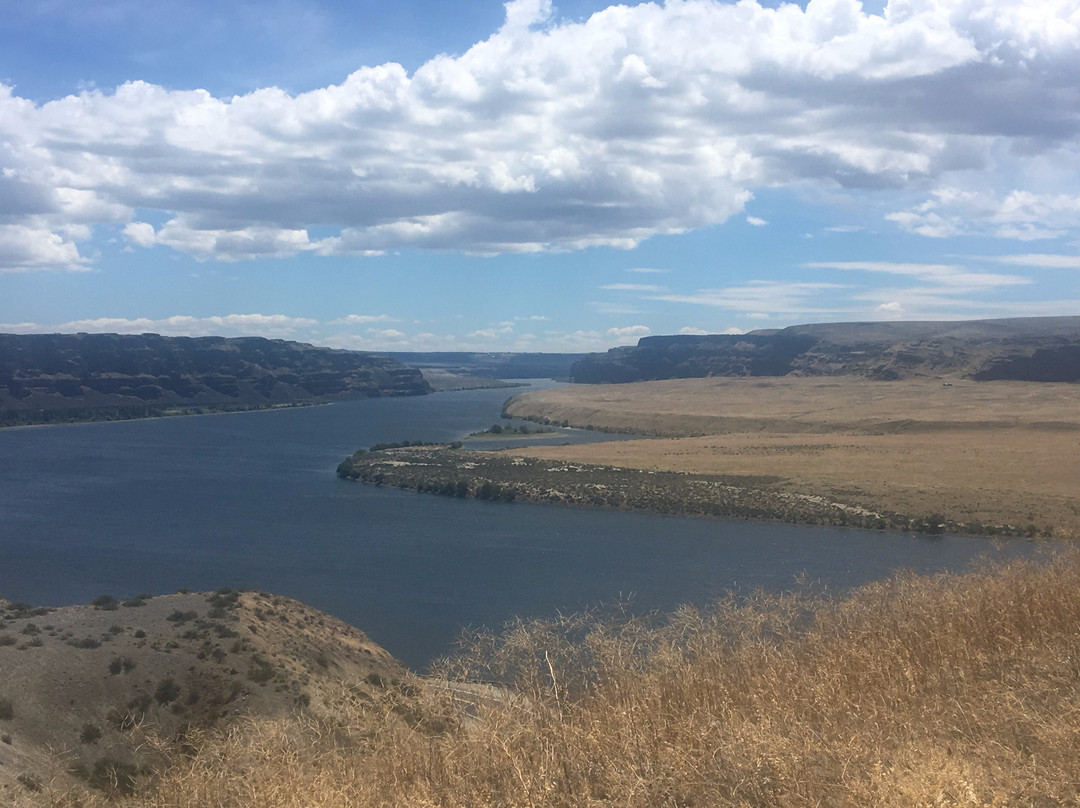 InquisiTours-西雅图必去景点