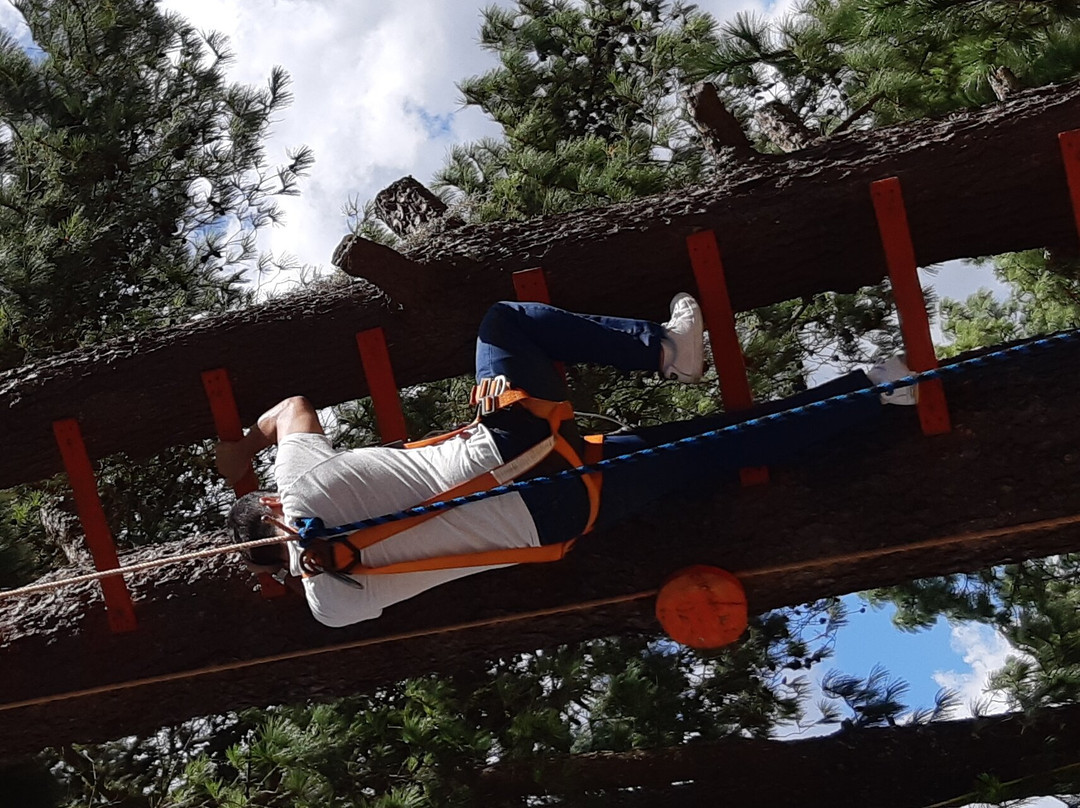 Salto De Pendulo "los Pinos"