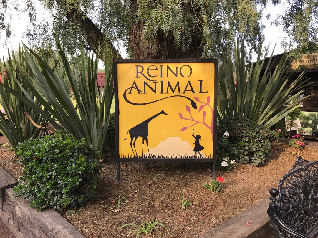 Reino Animal景点图片