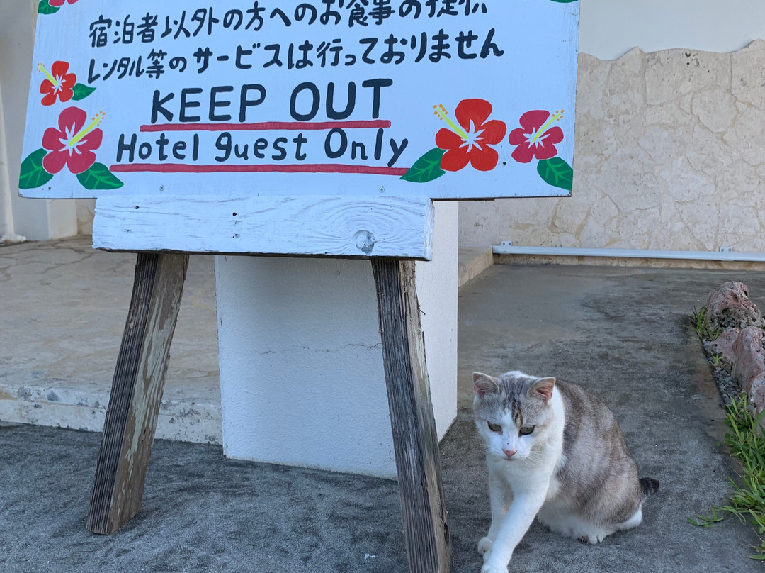 Pension Sainantan主图