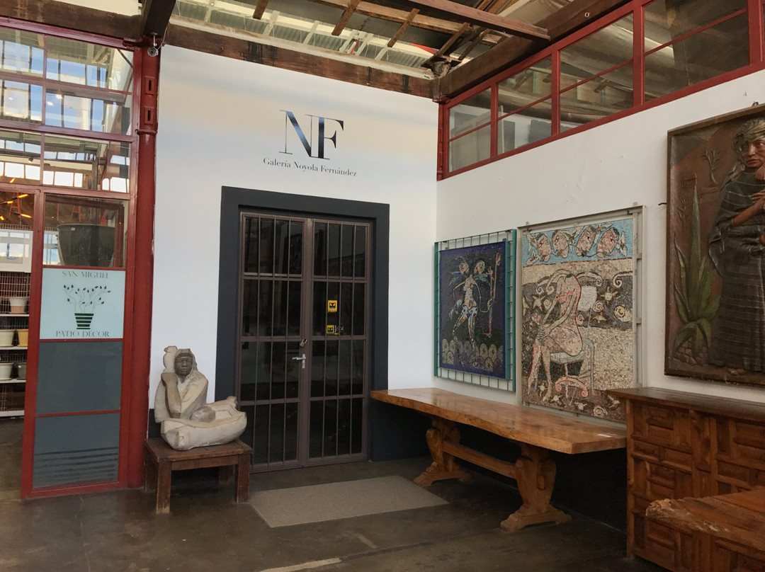 Galeria Noyola Fernandez-圣米格尔护城必去景点